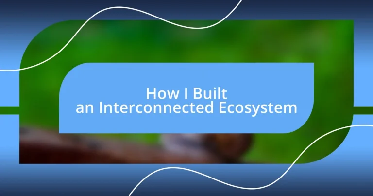 How I Built an Interconnected Ecosystem